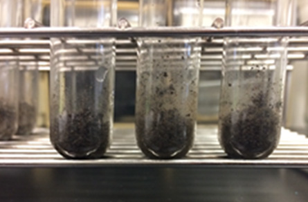 セラミック珪藻土非添加区